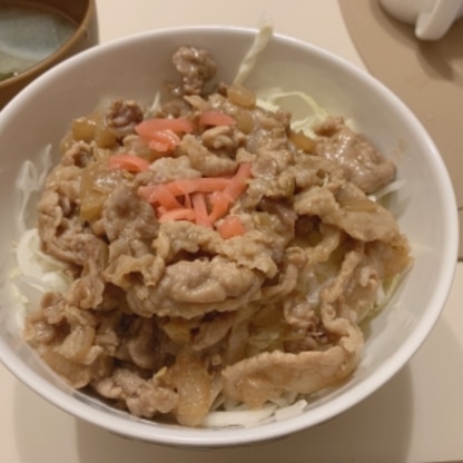 お安い薄切り肉で。玉ねぎや生姜を入れて、千切りキャベツの上にお肉をたっぷり乗せていただきました！とってもおいしかったです♪